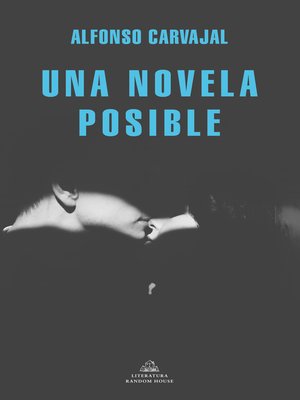 cover image of Una novela posible